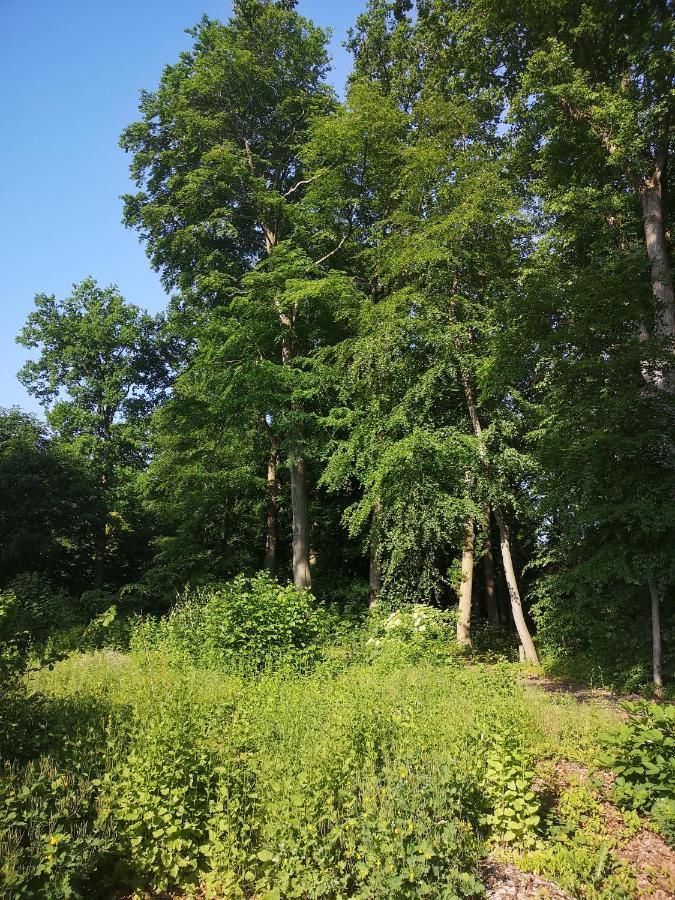 Gaestehaus Maria Rast Suderburg Luaran gambar